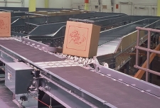pop up wheel sorter conveyor